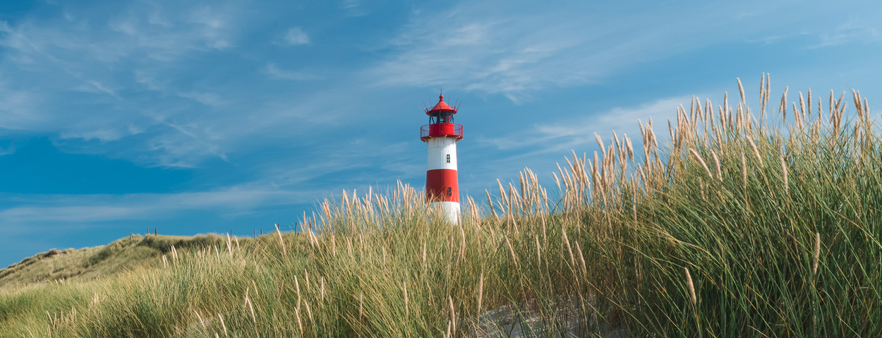 Seminar - SommerSpecial Patentrecht