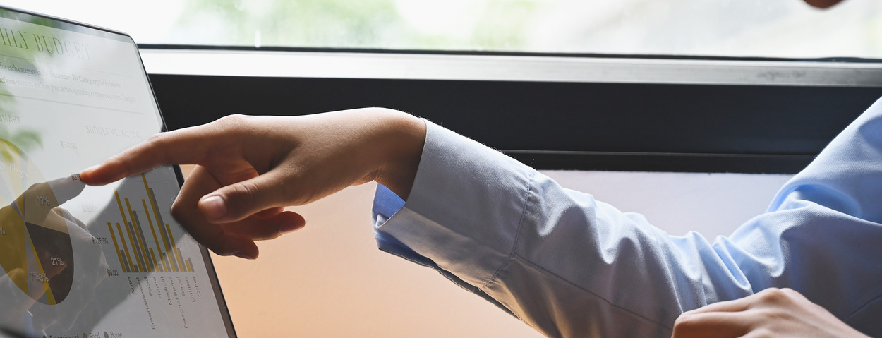 Seminar - Risk Management Plan und Risk Minimisation Measures